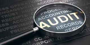 Audit Management System
